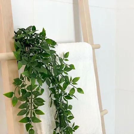 Lejlighed Cosy Flats Centro 2º Benidorm