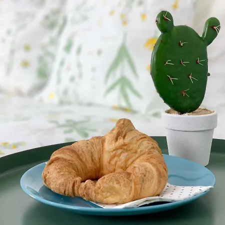 Cosy Flats Centro 2º Lejlighed Benidorm